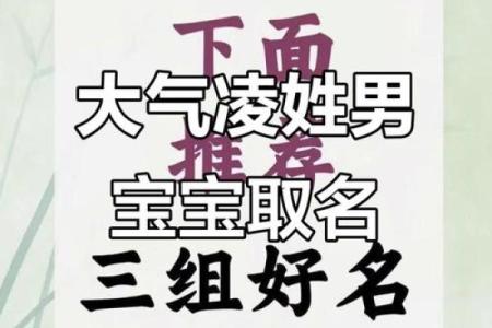 凌姓男孩名字大全-凌姓男孩起名字大全-凌姓名字大全姓名